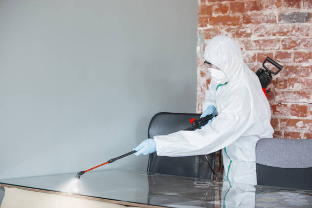 Trusted Dilkon, AZ Mold Inspection Experts